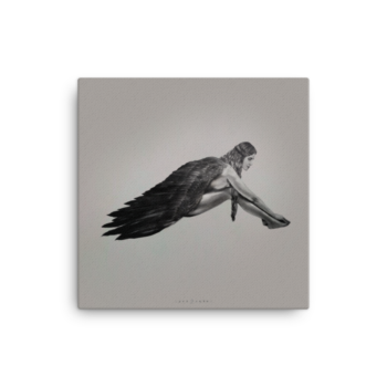 Resting Wings | Canvas