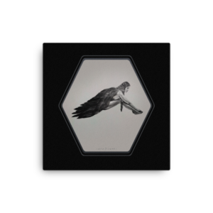 Resting Wings | Canvas | Bordered